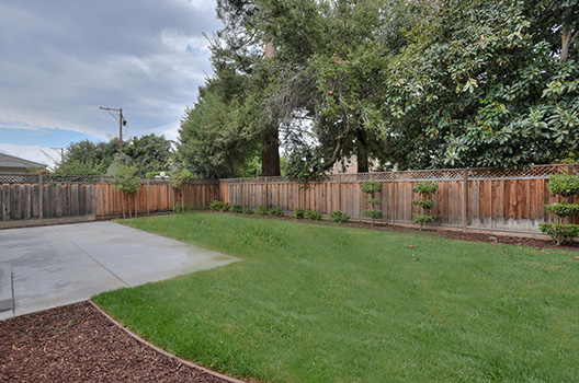 Backyard